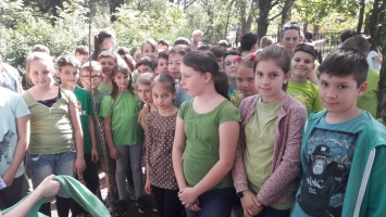 1237. kép